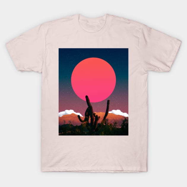 CACTI NIGHT HD T-Shirt by LFHCS